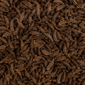 Infinity Foods Organic Caraway Seeds