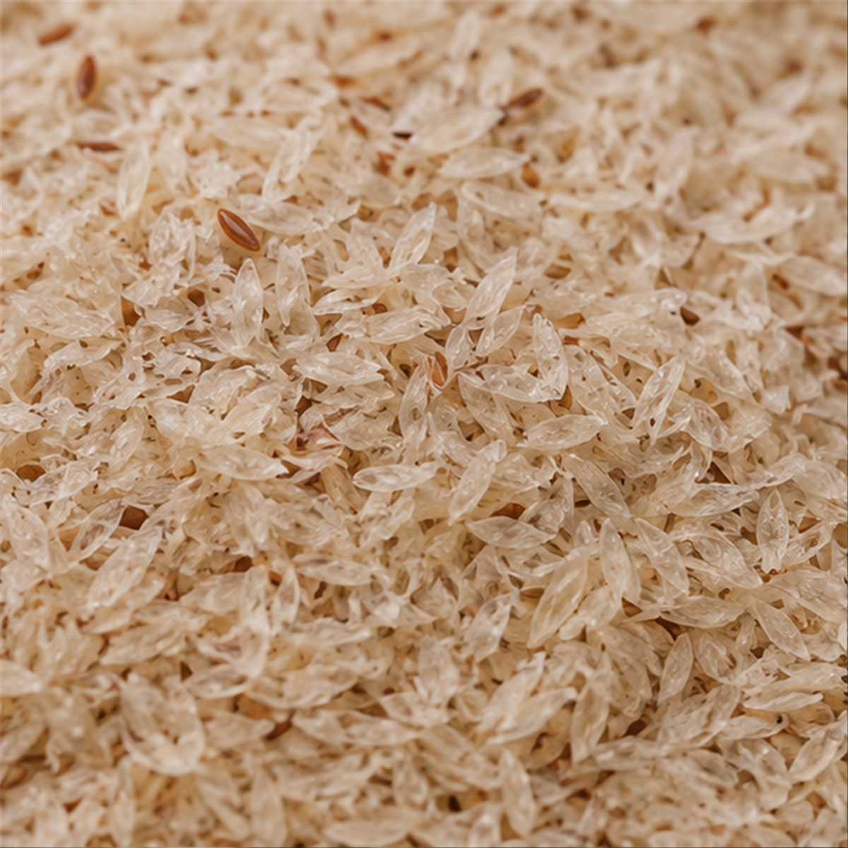 SHS Cape Psyllium Husk Range