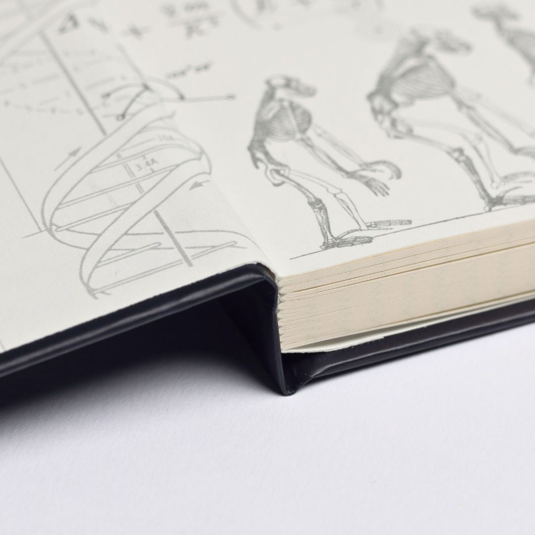 - Archaeology A5 Hardcover