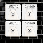 Samoyed Coasters – Smiles, Sass & Zero Security