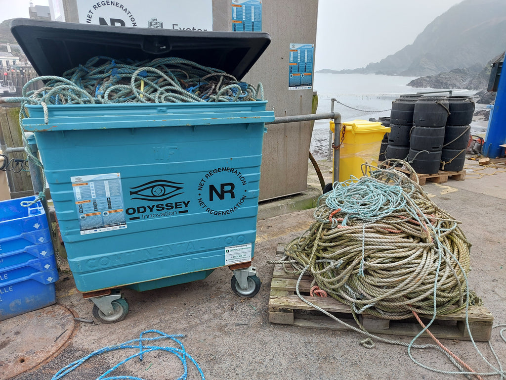 Plastic Neutral Certification for Medium Businesses