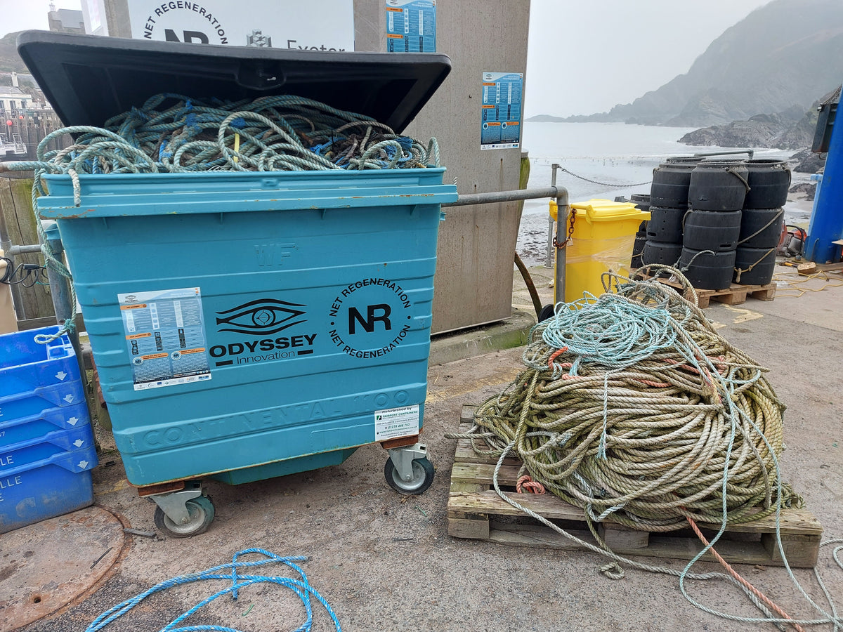 Plastic Neutral Certification for Medium Businesses