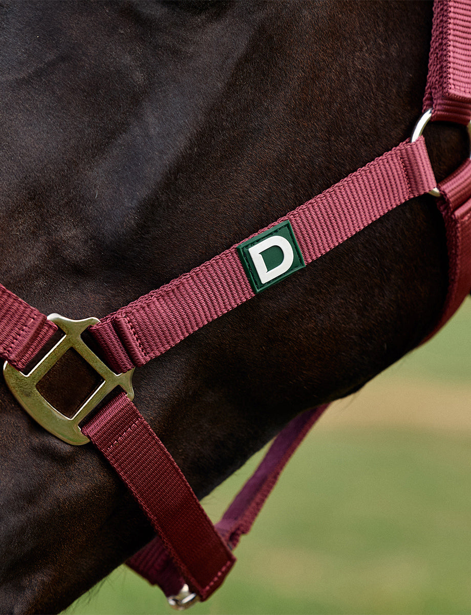 Dublin Everyday Headcollar