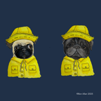 Pug & Pour – The Ultimate Rainy Day Companion!