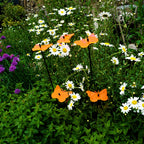 Garden Décor Ornaments Set of 5 'Gatekeeper Butterflies'