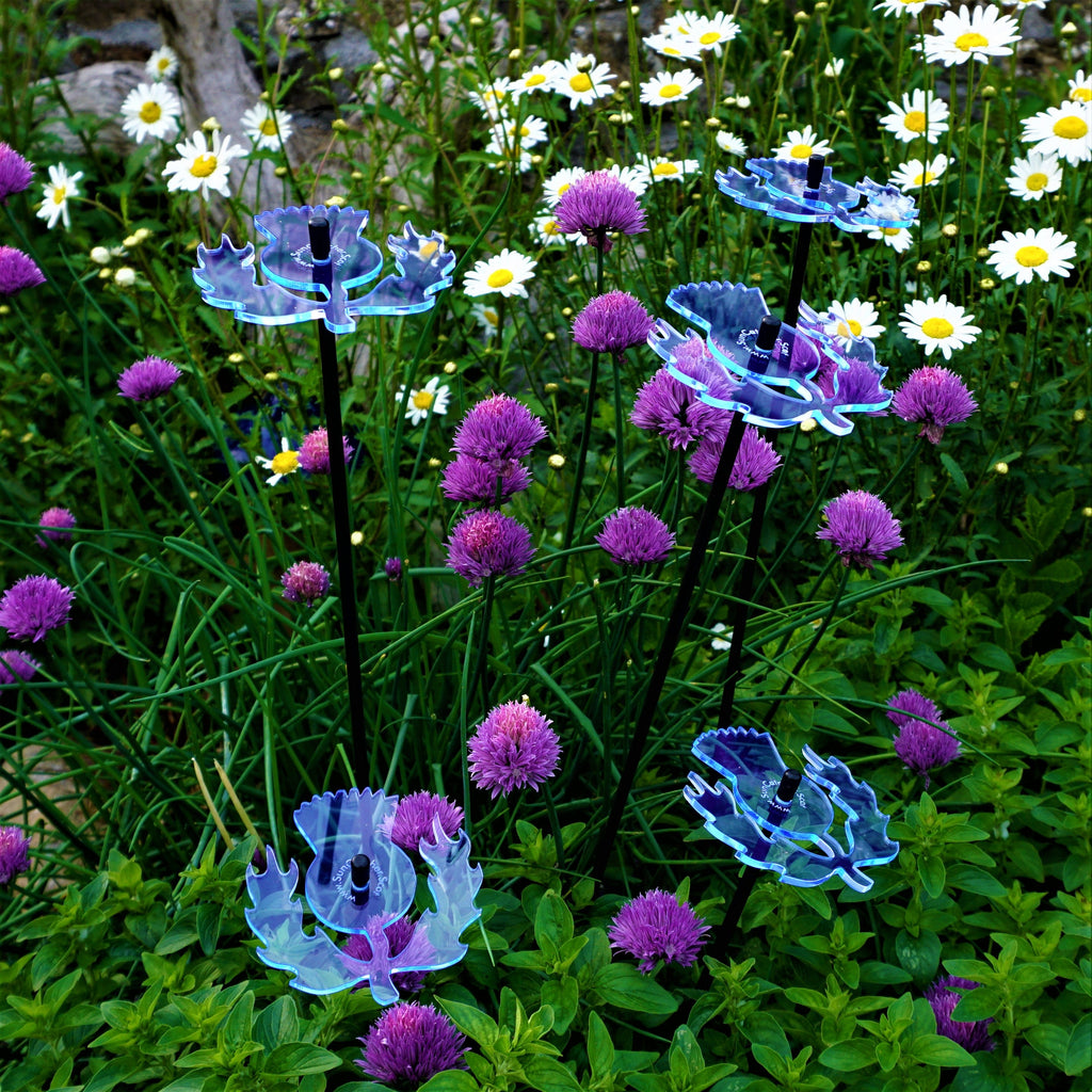 Medium Garden Décor Ornaments Set of 5 'Scottish Thistles'