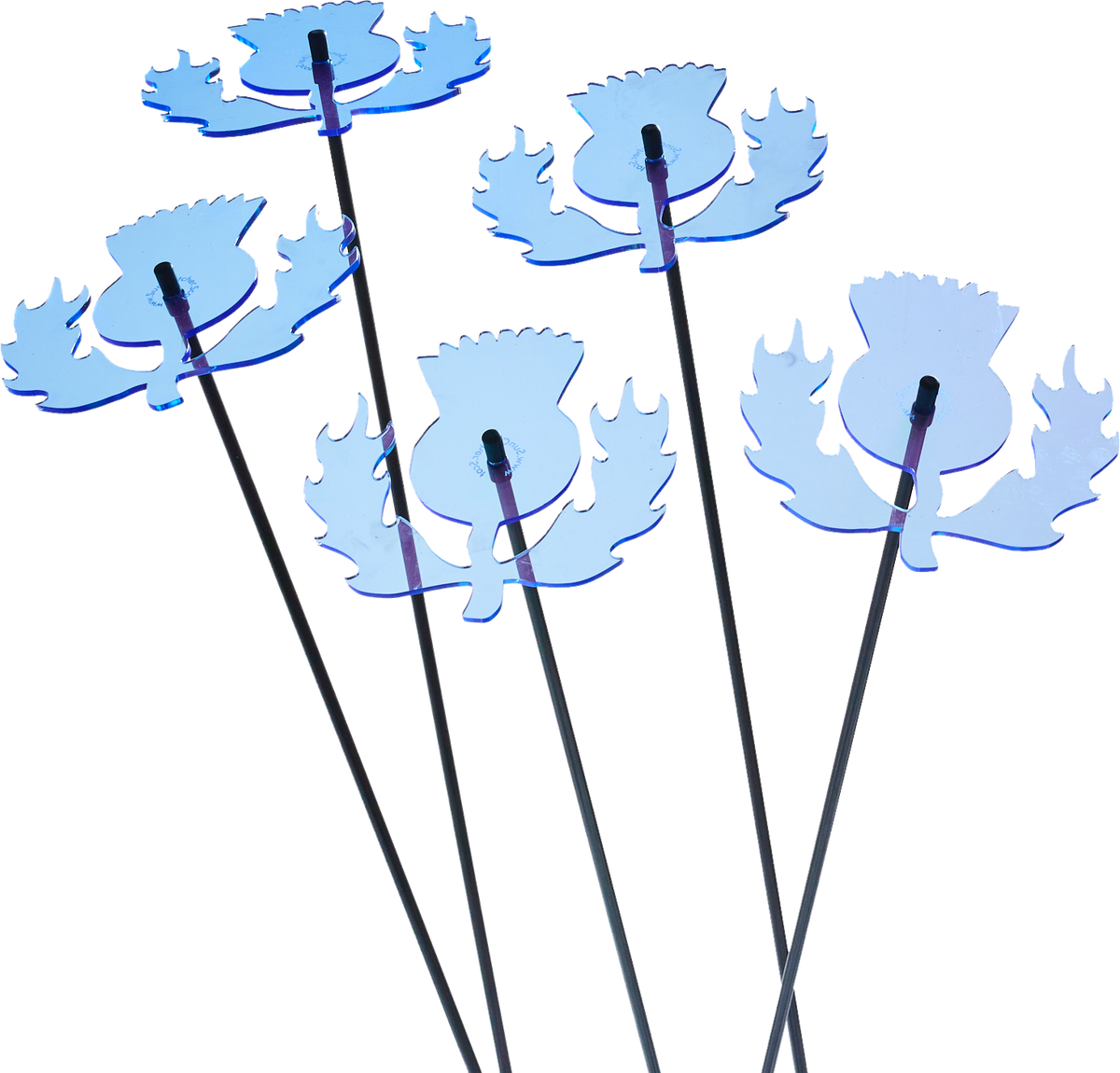 Large Garden Décor Ornaments Set of 5 'Scottish Thistles'