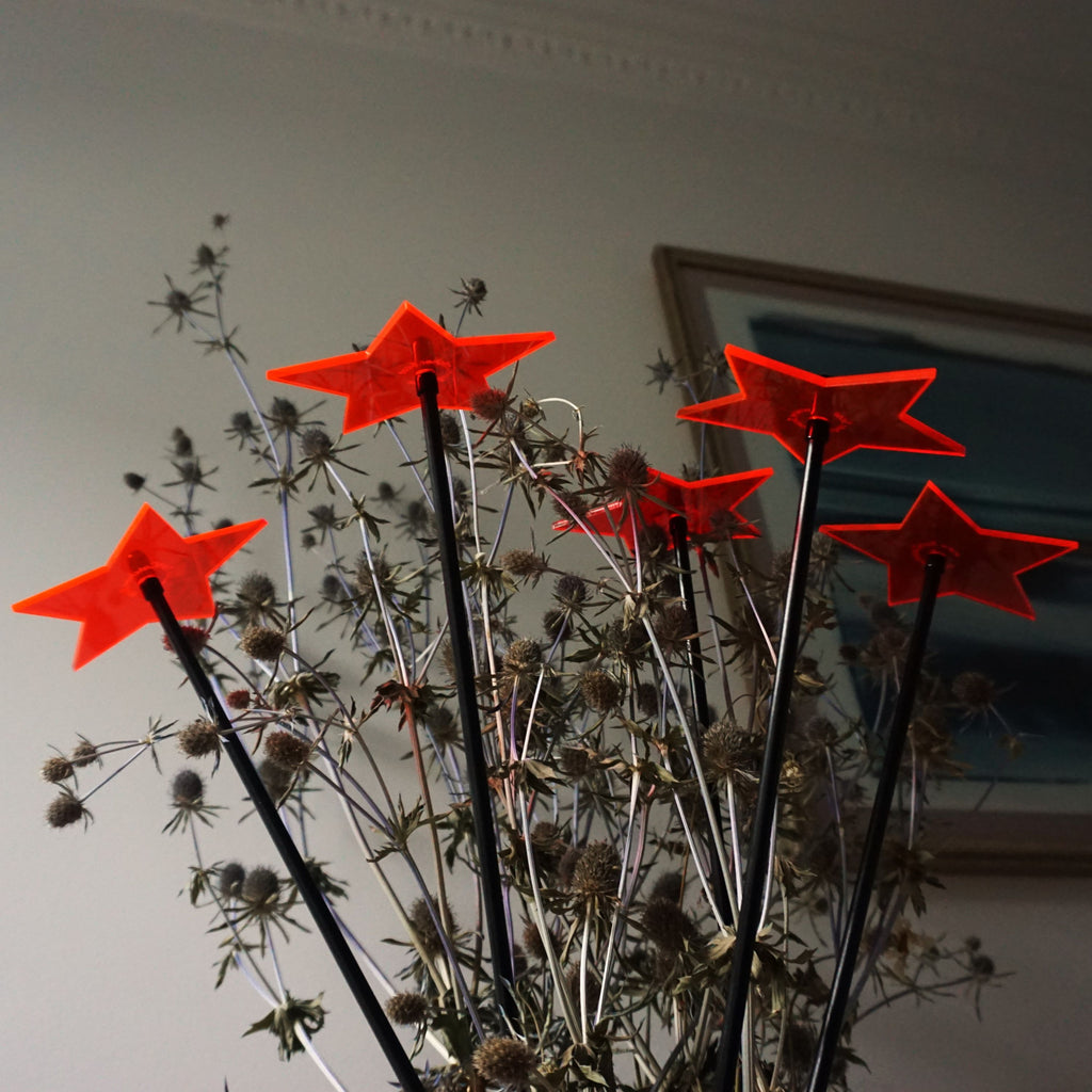 Garden Décor Ornaments Set of 5 'Shining Stars'
