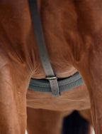 Dublin Running Martingale