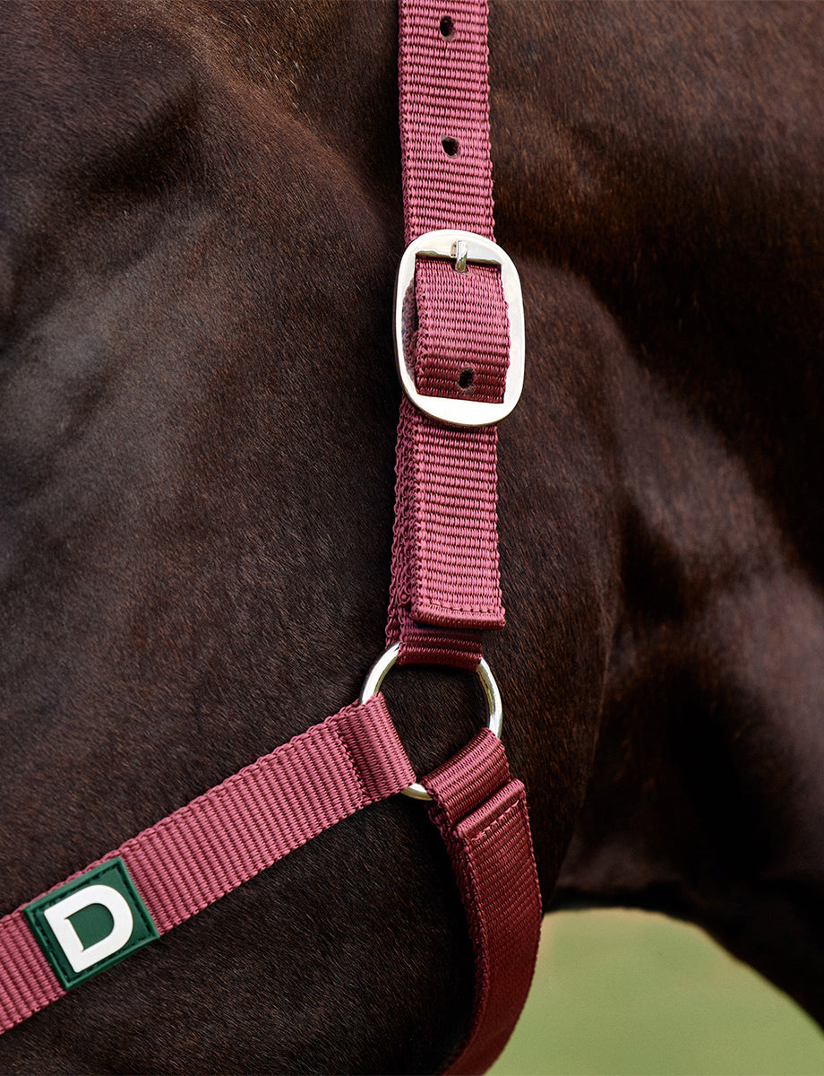 Dublin Everyday Headcollar