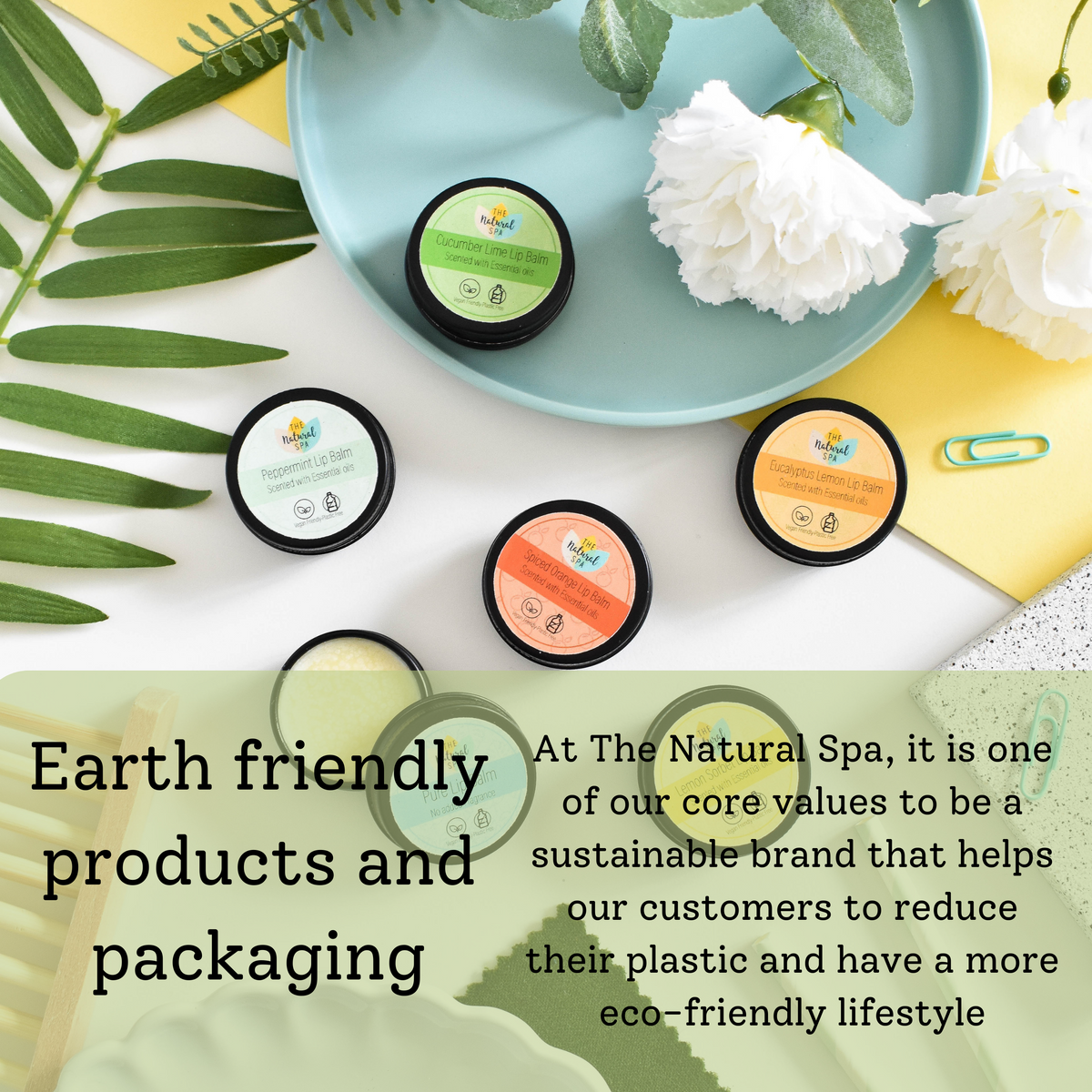 - Cucumber Lime Natural Lip Balm | Vegan, Hydrating & Nourishing | Plastic-Free, Handmade Lip Care