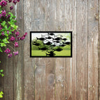 School of Fish Garden Mirror