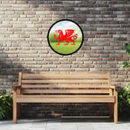 Welsh Dragon Garden Mirror
