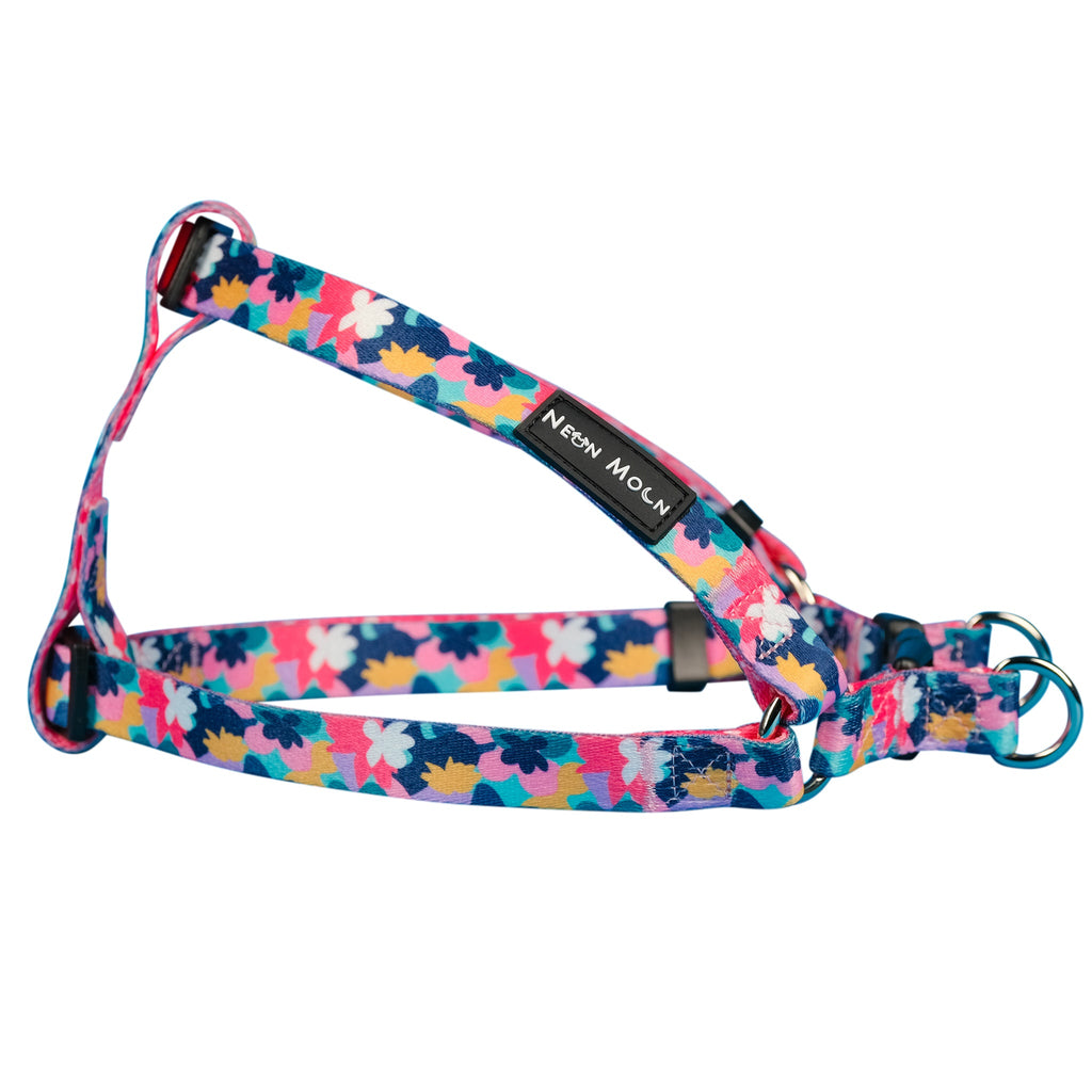 The Luna Step-In Harness