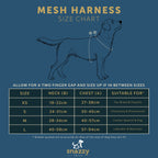 The Luna Mesh Harness