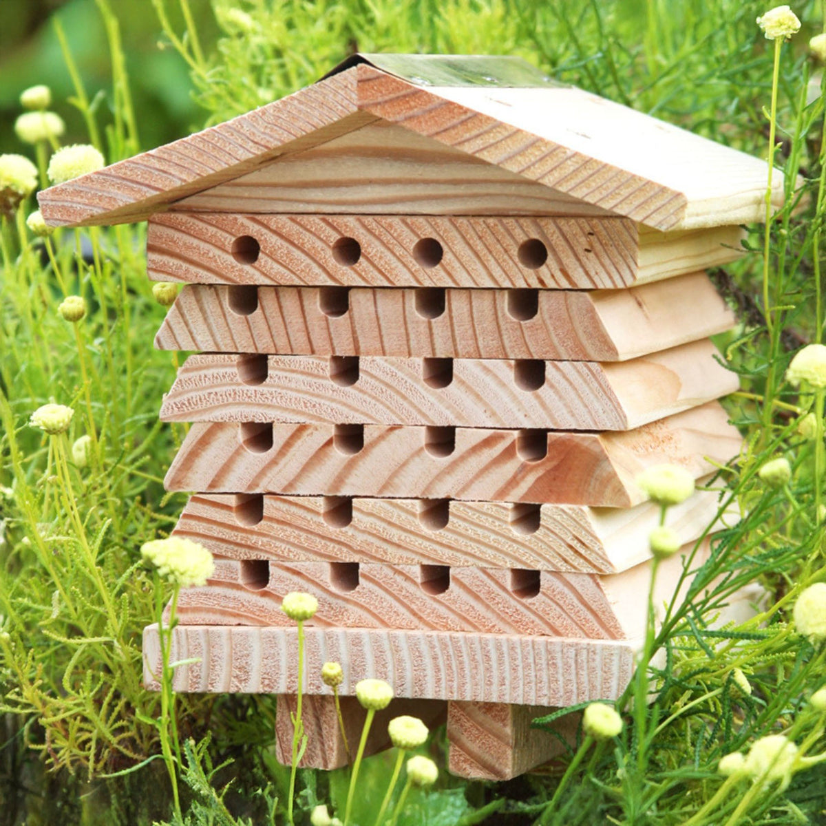 Solitary Bee Hive