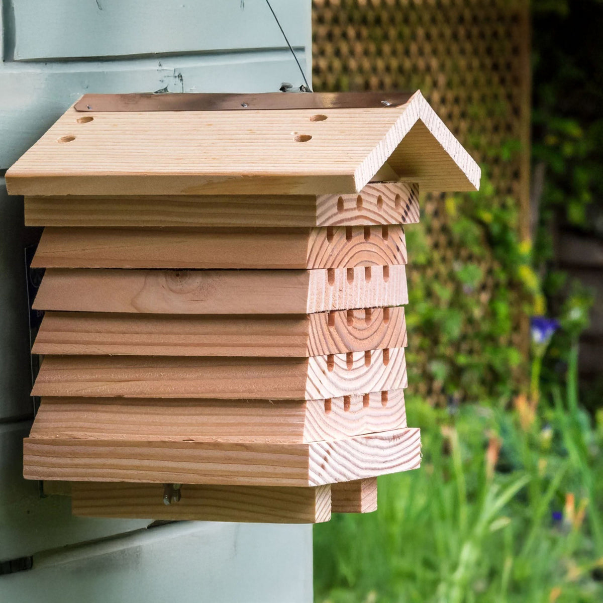 Solitary Bee Hive