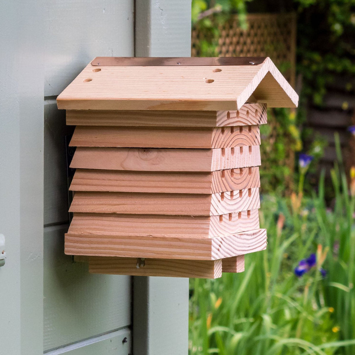 Solitary Bee Hive