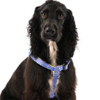 The Minnie Step-In Harness