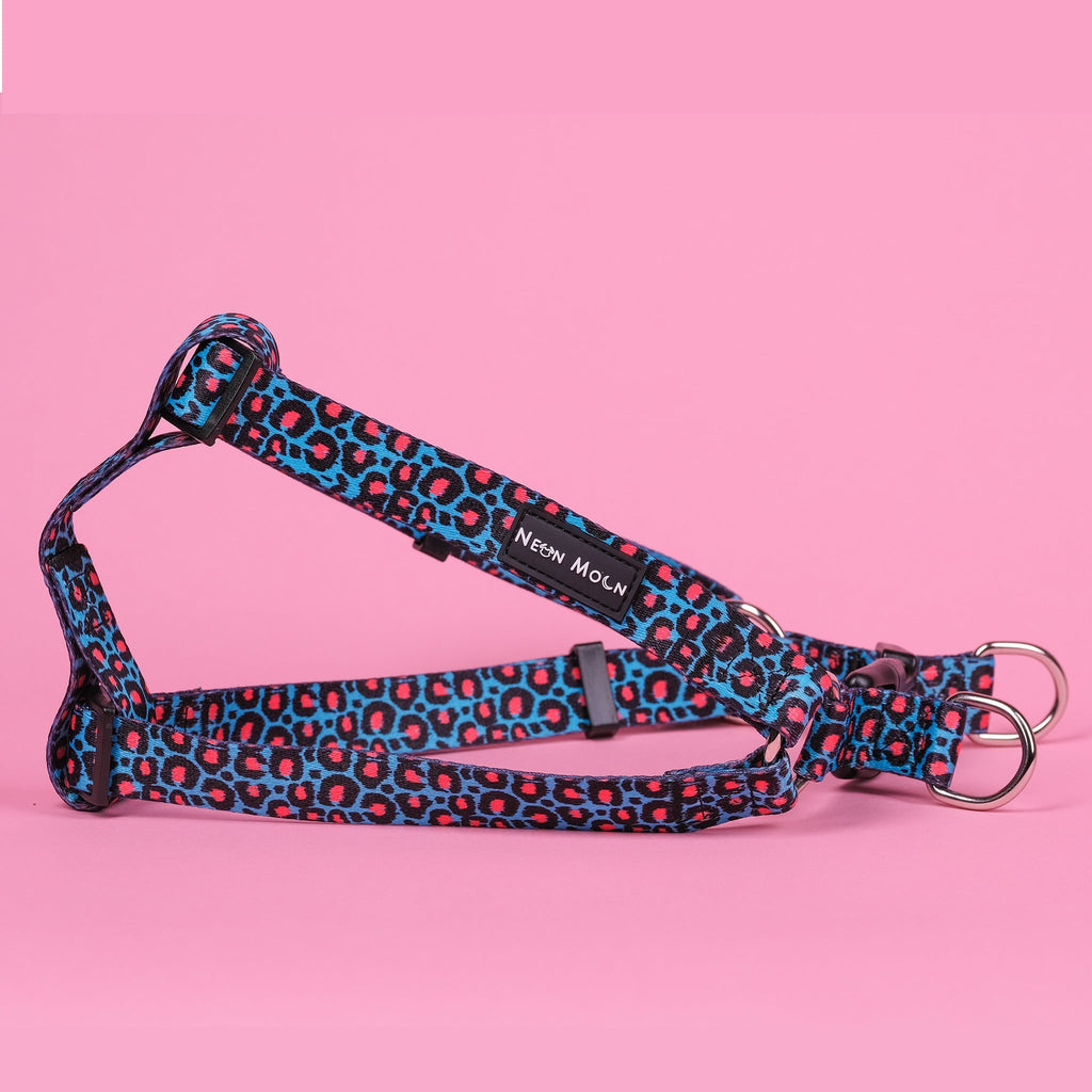 The Willow Step-In Harness