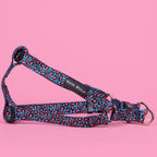 The Willow Step-In Harness
