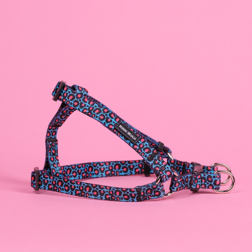 The Willow Step-In Harness