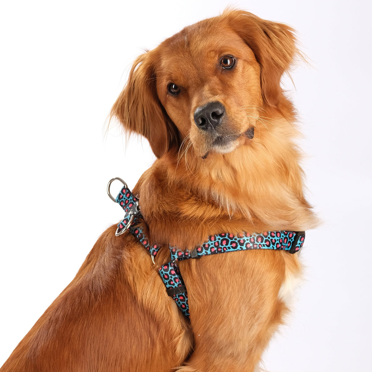 The Willow Step-In Harness