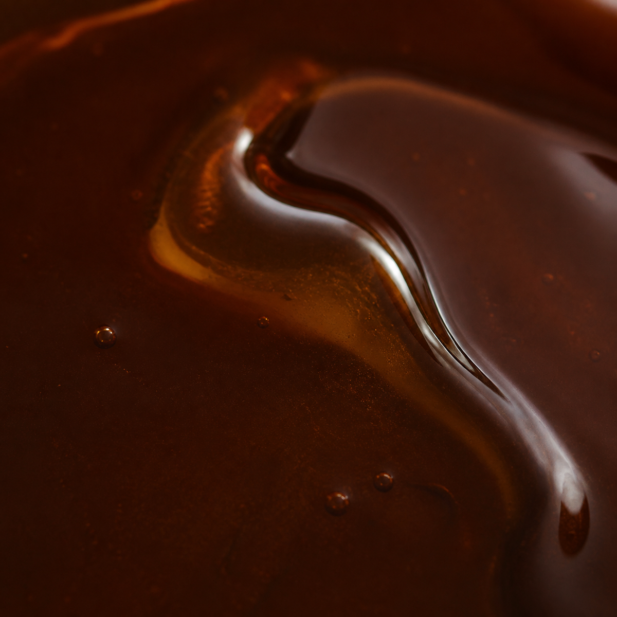 Biona Organic Agave Nectar Dark Syrup