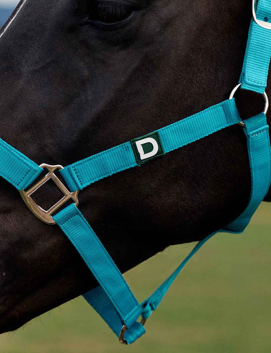 Dublin Everyday Headcollar