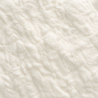 Xanthan Gum