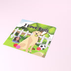 I Love Balls