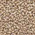 Infinity Foods Organic Pearl Barley