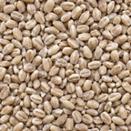 Infinity Foods Organic Pearl Barley