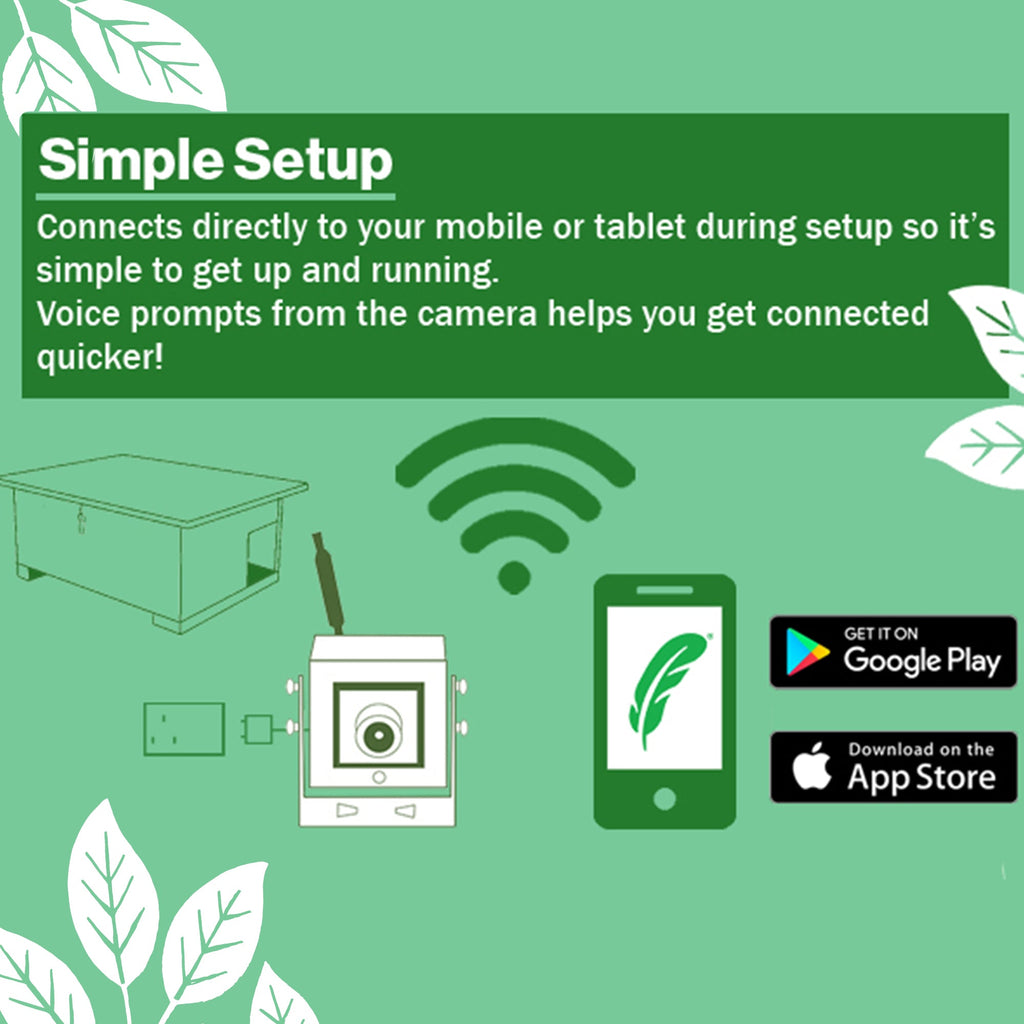 WiFi Hedgehog Box HD Camera Pack