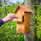 WiFi Bird Box HD Camera Starter Pack
