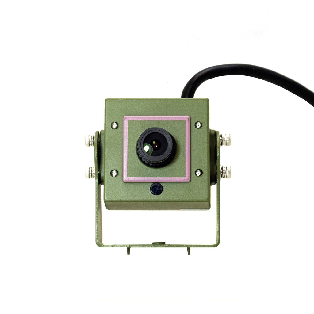 4MP Wired Network Camera for Birdbox & Wildlife Habitats (25fps)