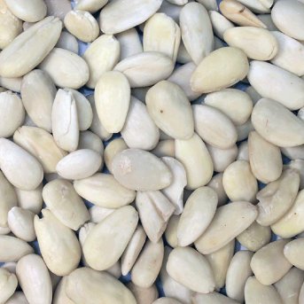 Organic Blanched Almonds