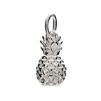 - Pineapple Silver Charm