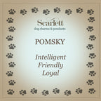 Pomsky Personalised Silver Dog Tag Necklace