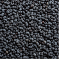 Infinity Foods Organic Poppy Seeds
