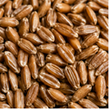 Infinity Foods Organic Spelt Grain
