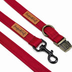 Waterproof Dog Collars - Core Collection