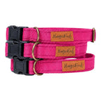 Waterproof Dog Collars - Core Collection