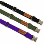 Waterproof Dog Collars - Core Collection