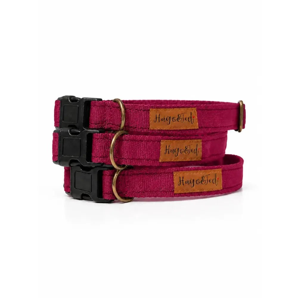 Waterproof Dog Collars - Core Collection