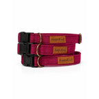 Waterproof Dog Collars - Core Collection