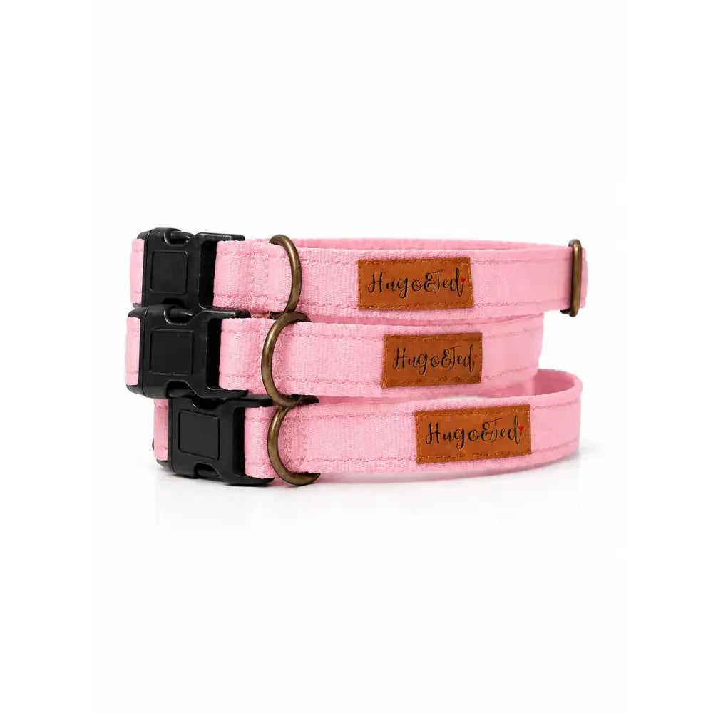 Waterproof Dog Collars - Core Collection