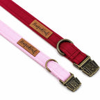 Waterproof Dog Collars - Core Collection